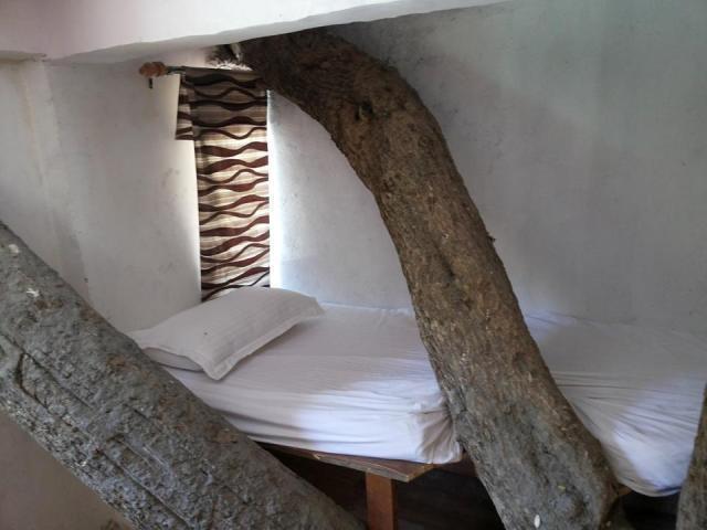 Junglee Resort Rajaji National Park Rishikesh Ruang foto