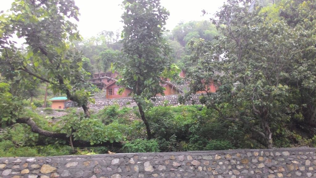 Junglee Resort Rajaji National Park Rishikesh Ruang foto